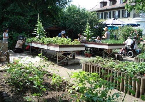 Die Wildkräuter im Garten der Villa