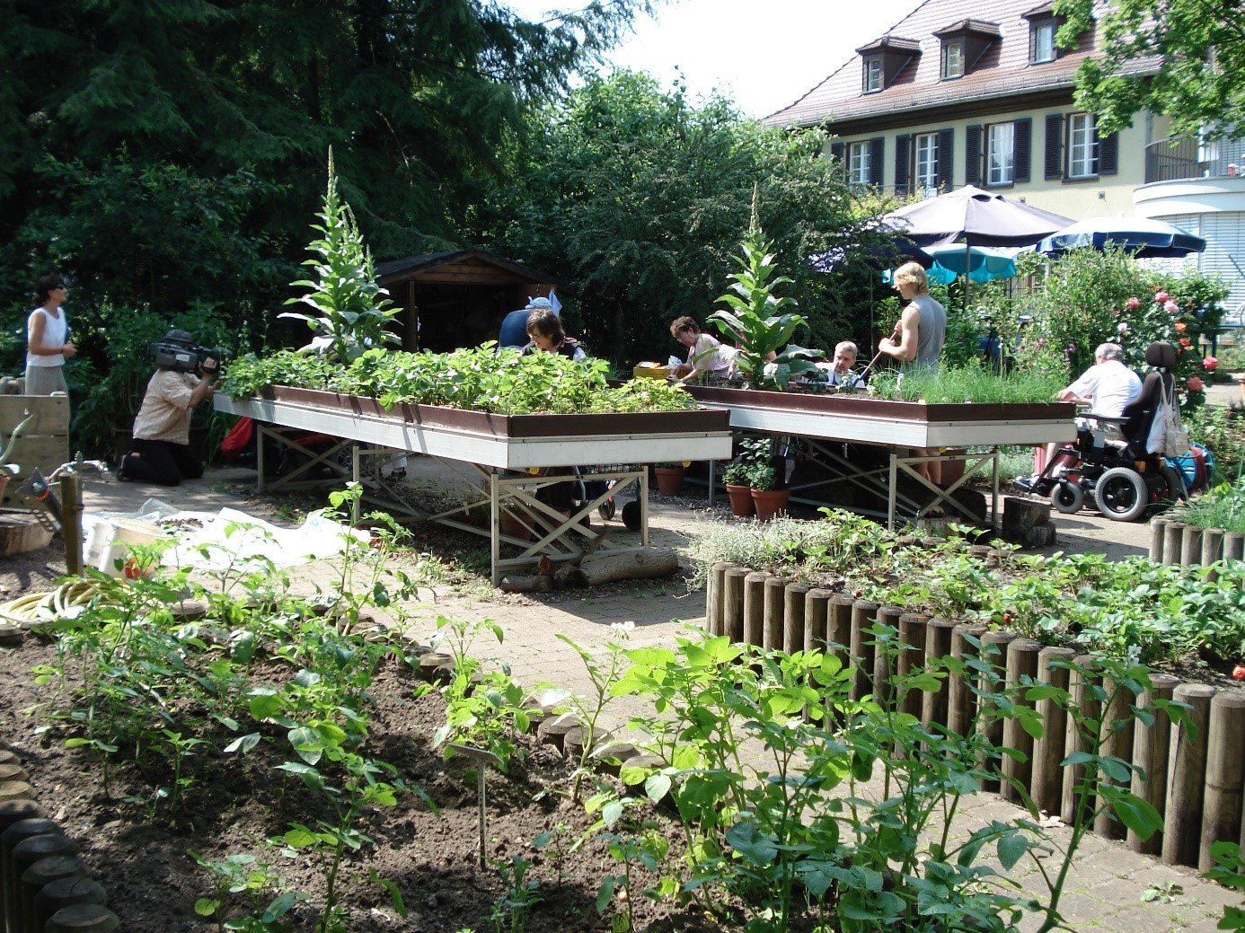 Die Wildkräuter im Garten der Villa