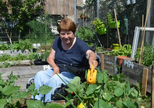 Eine Dame im Rollstuhl gießt Kapuzinerkresse in einem Hochbeet