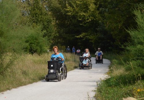 Rollstuhlfahrerinnen und Rollstuhlfahrer auf einem Fahrradweg durch das Wuhletal.