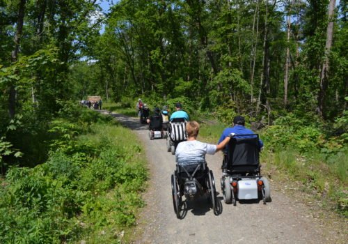 Die Wandergruppe in Potsdam: Gruppe Rollstuhlfahrerinnen und fahrer fährt einen leicht ansteigenden Schotterweg im Wald hinauf. Links und rechts sind überall Bäume und Pflanzen.