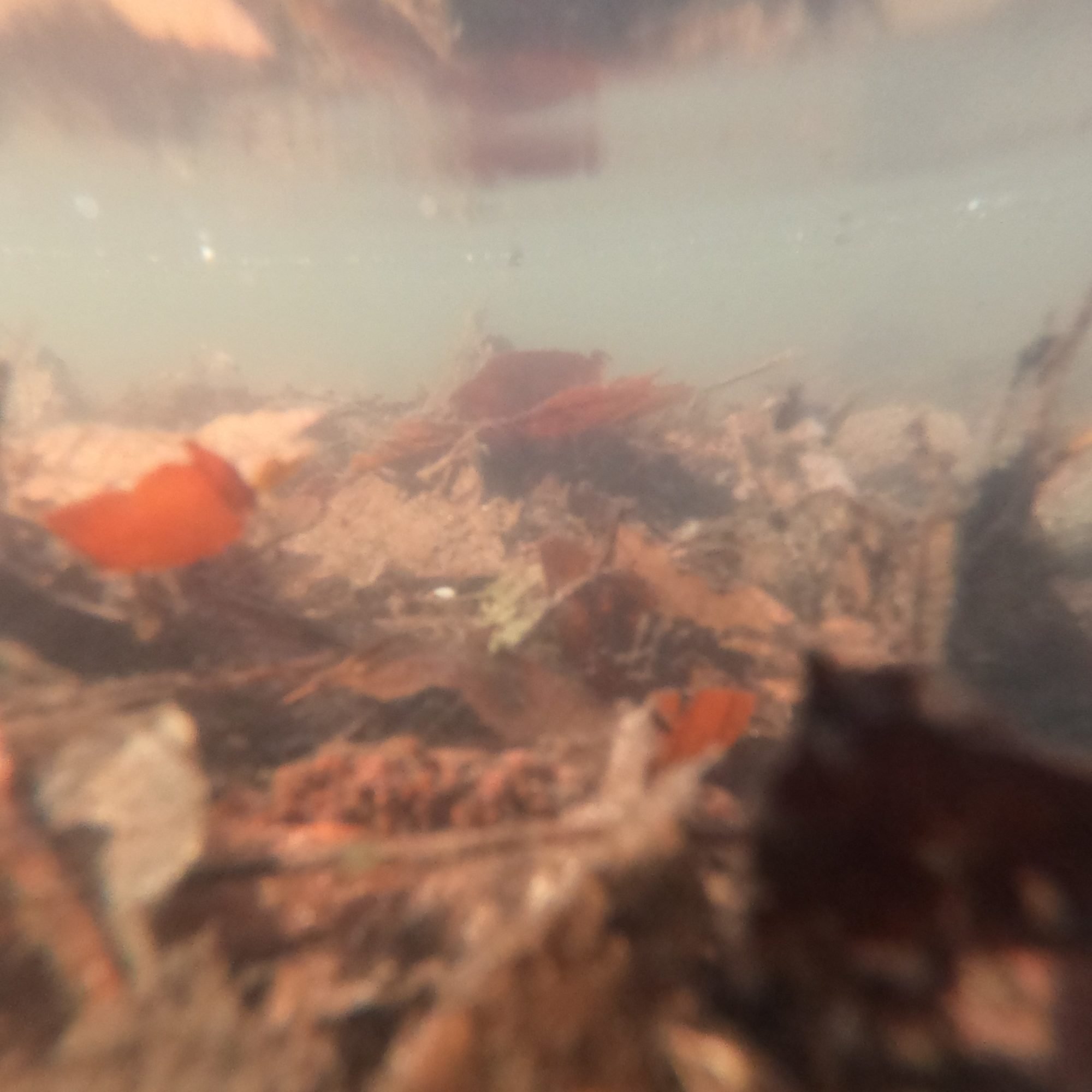Eine verschwommene Unterwasserfotografie mit Laub, dass beinahe aussieht wie eine Berglandschaft unter Wasser,