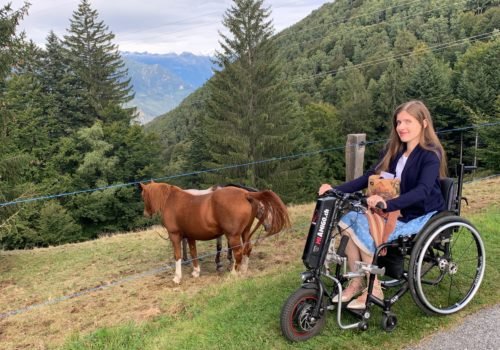 Adina steht mit ihrem Rollstuhl inklusive Zuggerät in den Bergen. Vor ihr stehen zwei Pferde auf der Weide.