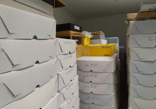 Im Bild sind stapelweise Archivkisten zu sehen.