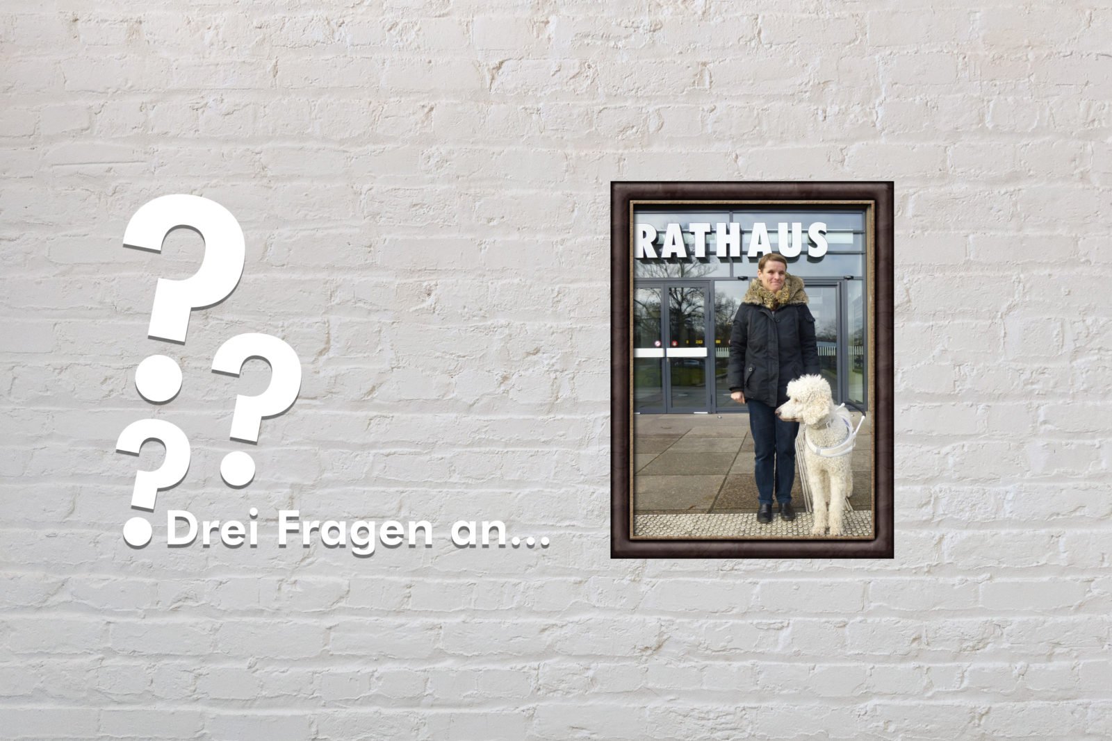 Fotomontage: Eine weiße Steinwand - darauf ein Rahmen, in den ein Bild von Regina Vollbrecht montiert ist, daneben der Schriftzug Drei Fragen an... und drei Fragezeichen.